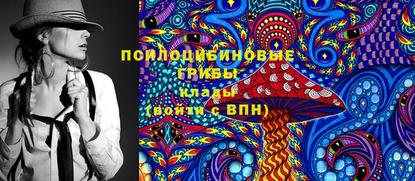 молекула духа Строитель