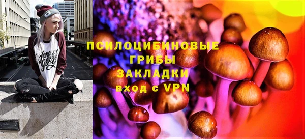 молекула духа Строитель