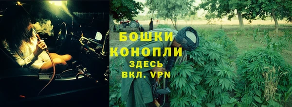 молекула духа Строитель